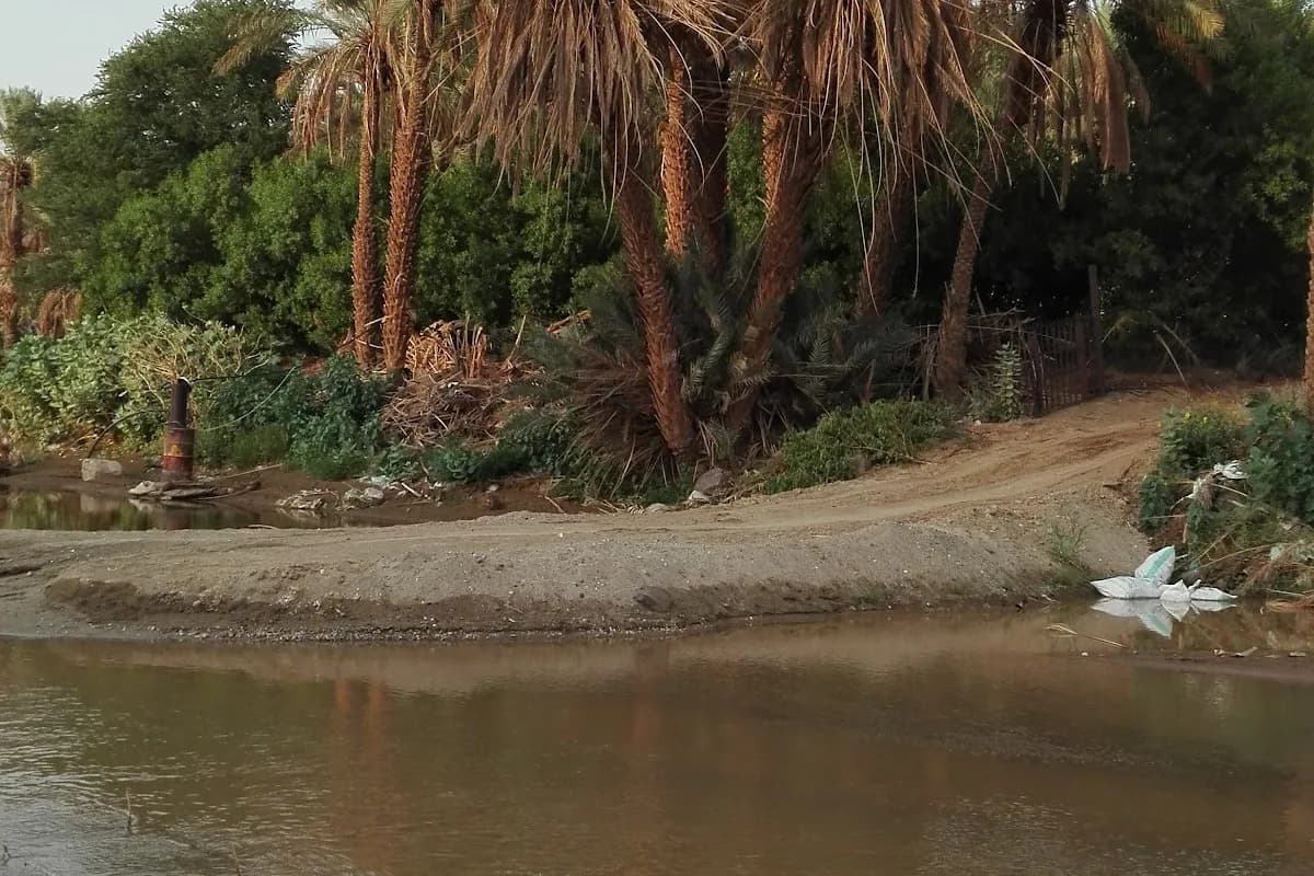 Quwayiyah skyline