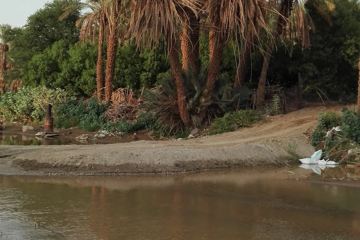 Quwayiyah cityscape